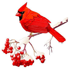 Cardinal